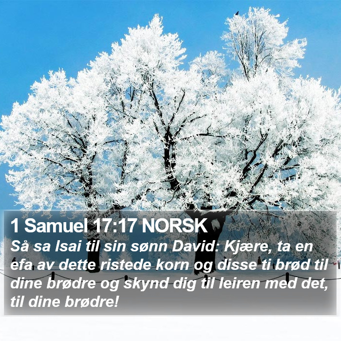 1 Samuel 17:17 NORSK Bible Study