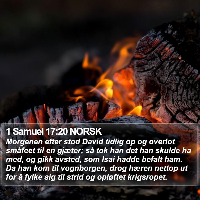 1 Samuel 17:20 NORSK Bible Study