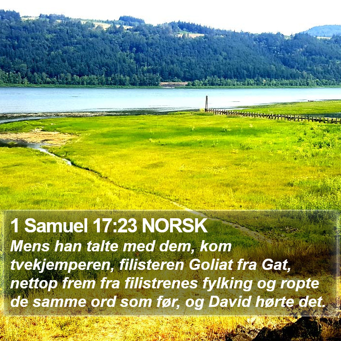 1 Samuel 17:23 NORSK Bible Study