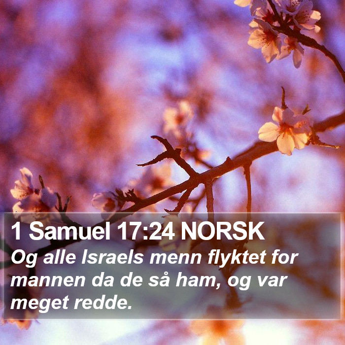 1 Samuel 17:24 NORSK Bible Study