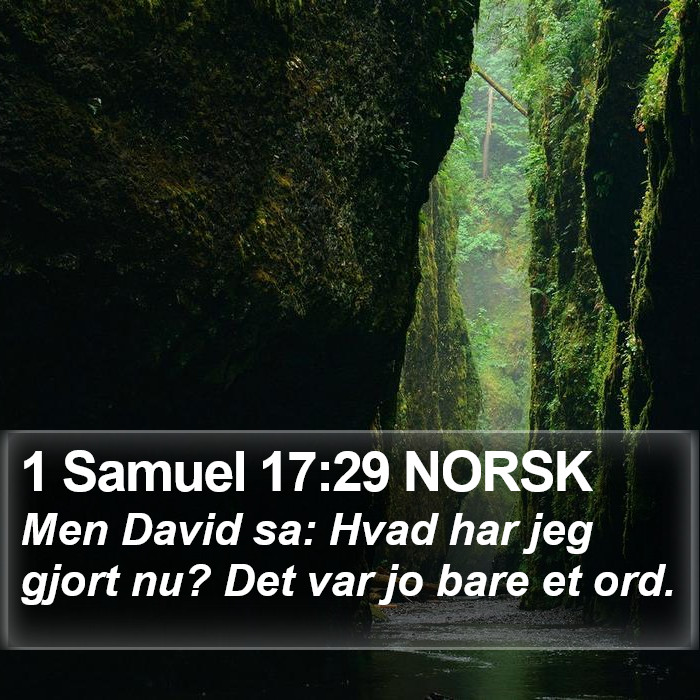 1 Samuel 17:29 NORSK Bible Study