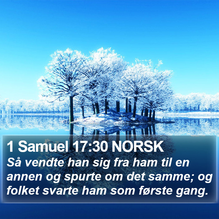 1 Samuel 17:30 NORSK Bible Study