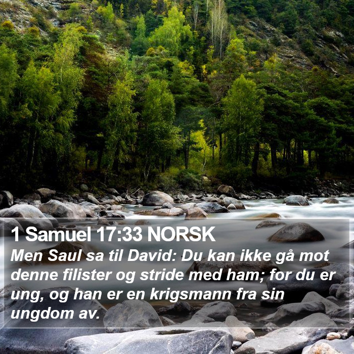 1 Samuel 17:33 NORSK Bible Study