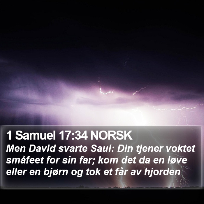 1 Samuel 17:34 NORSK Bible Study