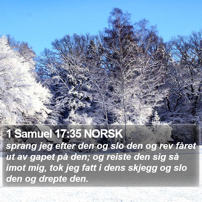 1 Samuel 17:35 NORSK Bible Study