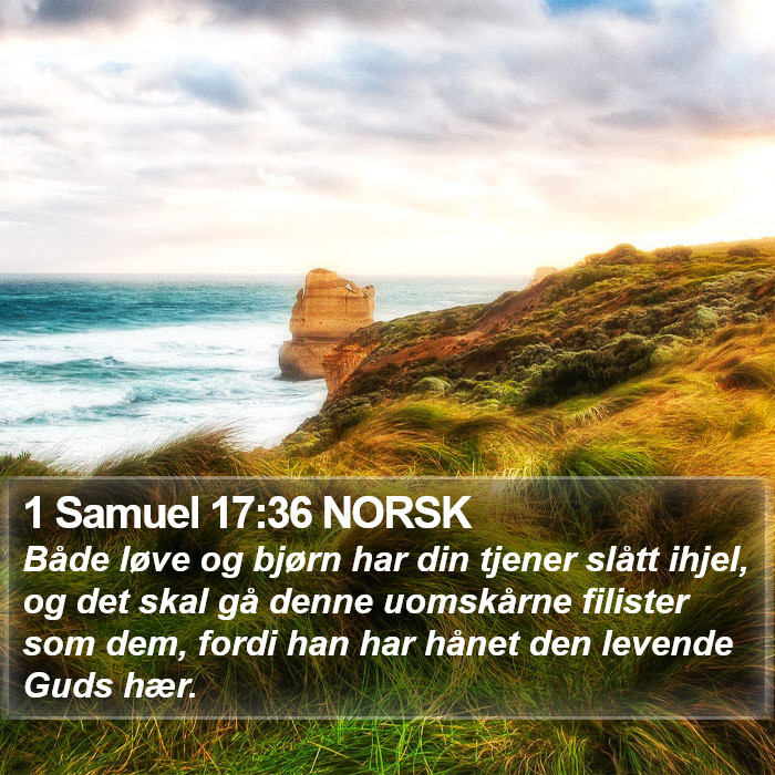 1 Samuel 17:36 NORSK Bible Study