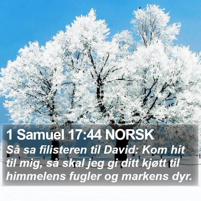 1 Samuel 17:44 NORSK Bible Study