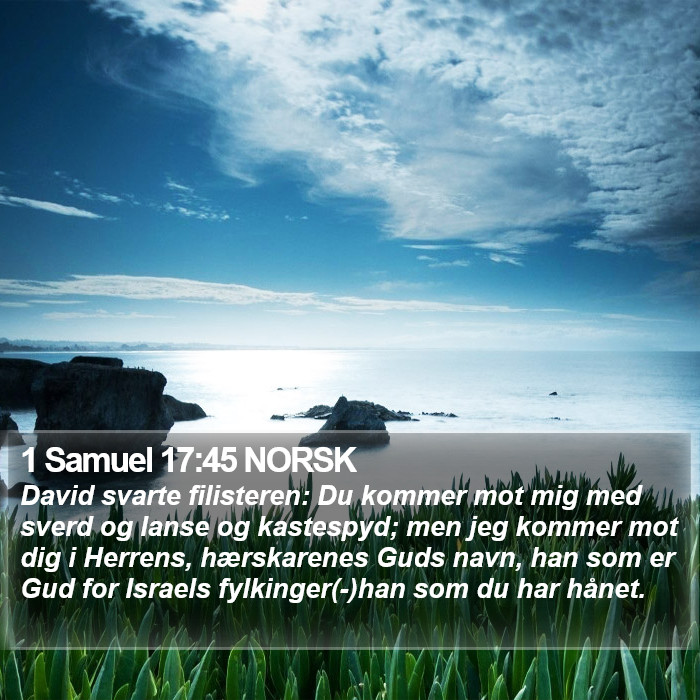 1 Samuel 17:45 NORSK Bible Study