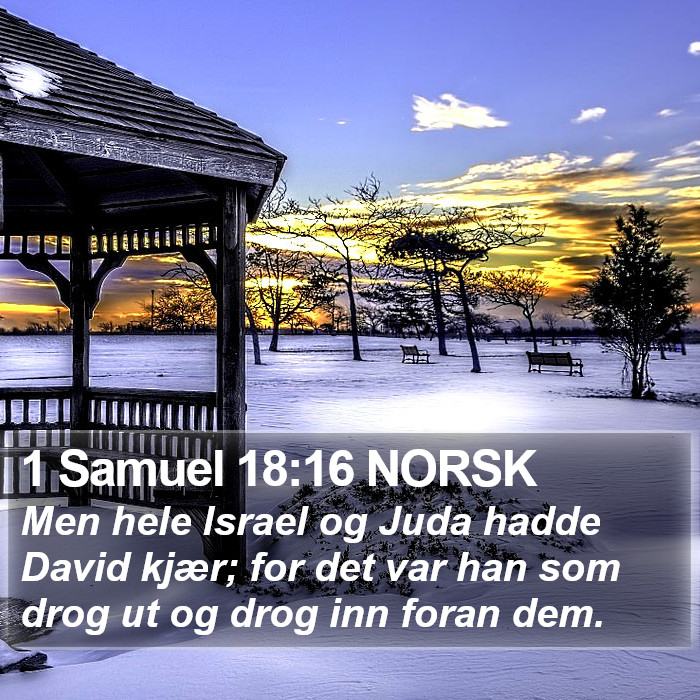 1 Samuel 18:16 NORSK Bible Study