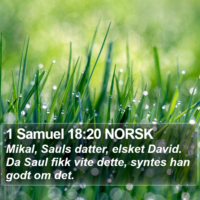 1 Samuel 18:20 NORSK Bible Study