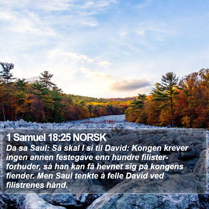 1 Samuel 18:25 NORSK Bible Study