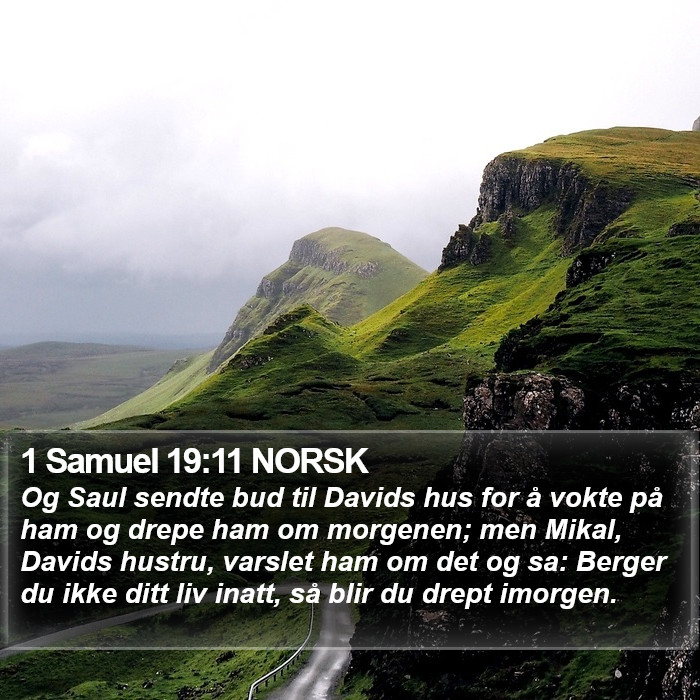 1 Samuel 19:11 NORSK Bible Study