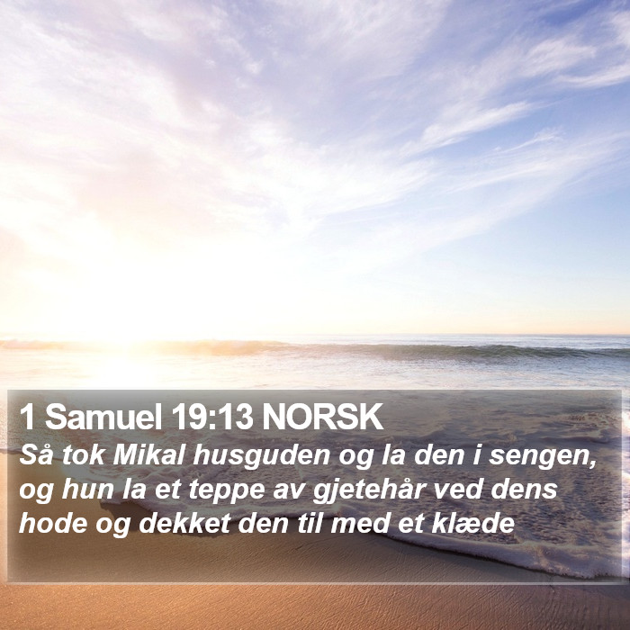 1 Samuel 19:13 NORSK Bible Study