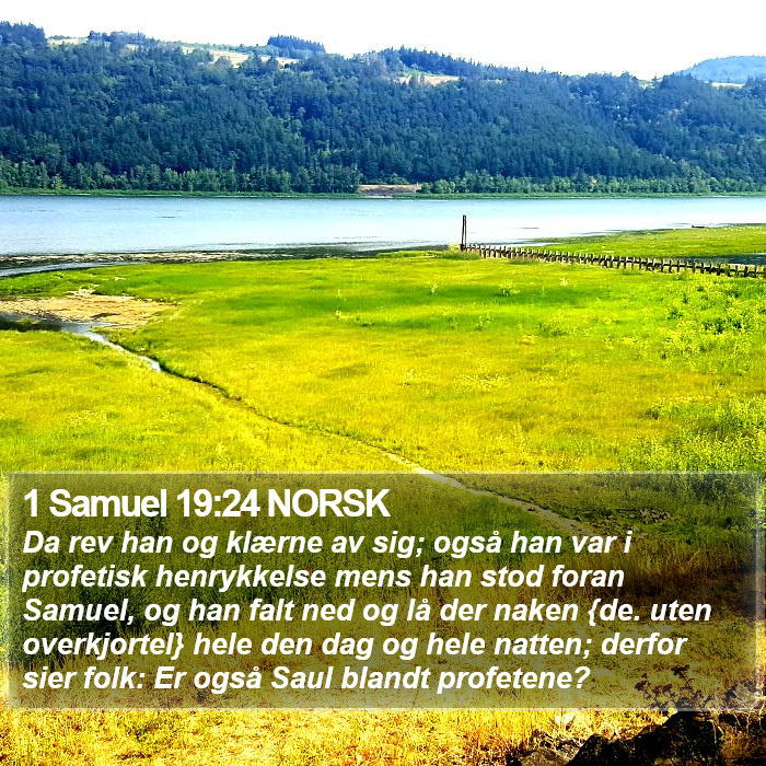 1 Samuel 19:24 NORSK Bible Study