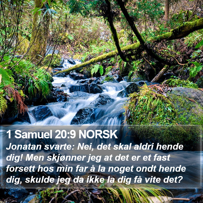 1 Samuel 20:9 NORSK Bible Study