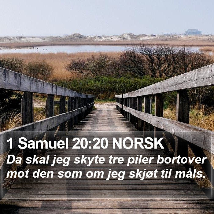 1 Samuel 20:20 NORSK Bible Study