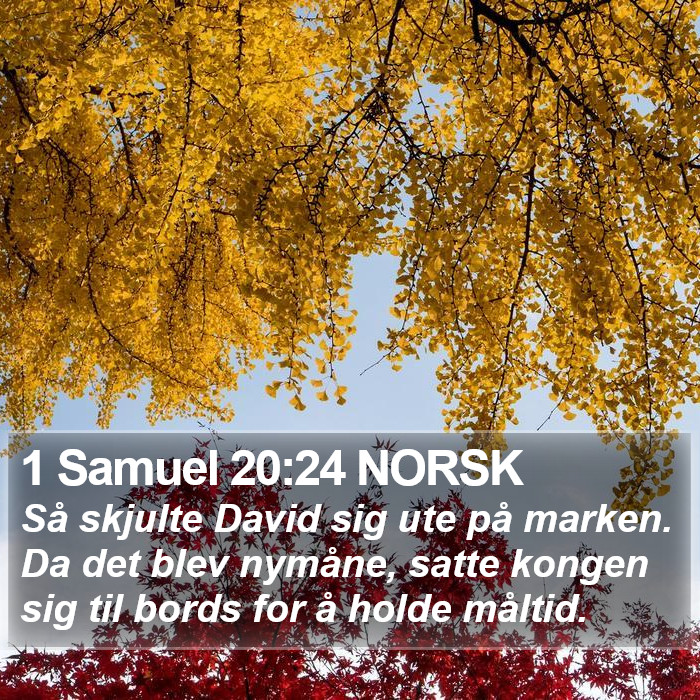 1 Samuel 20:24 NORSK Bible Study