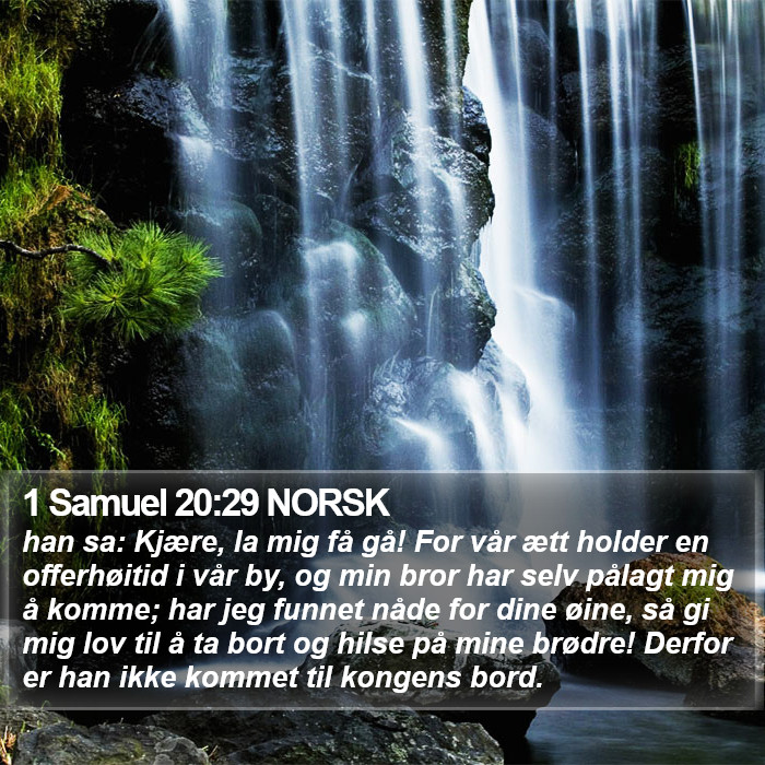 1 Samuel 20:29 NORSK Bible Study