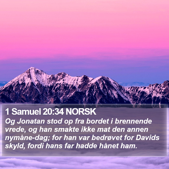 1 Samuel 20:34 NORSK Bible Study