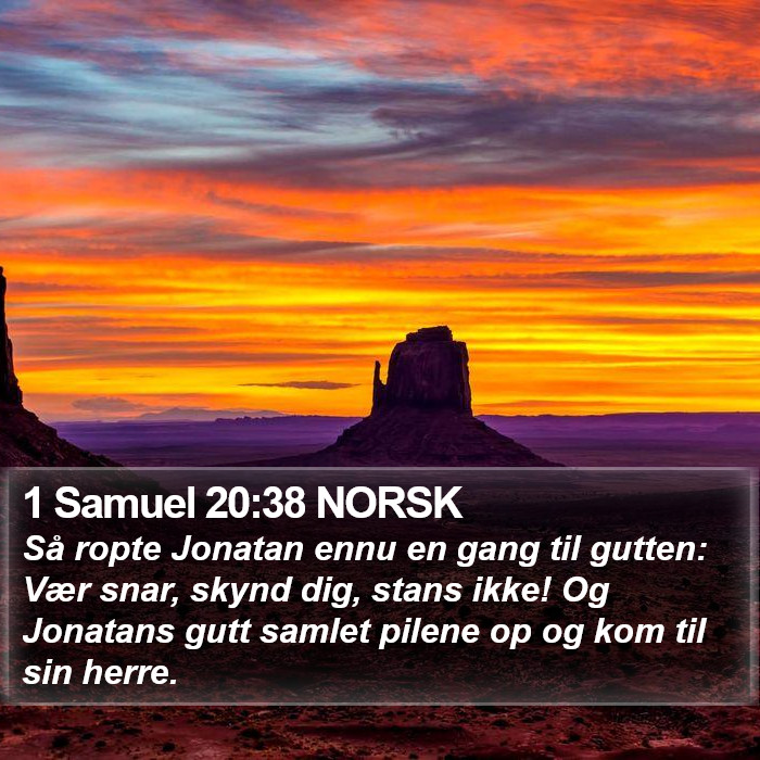 1 Samuel 20:38 NORSK Bible Study