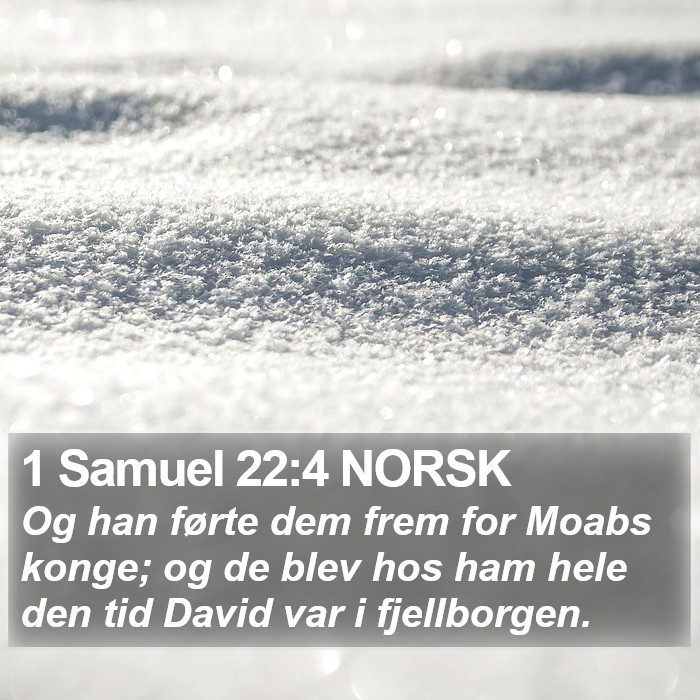 1 Samuel 22:4 NORSK Bible Study