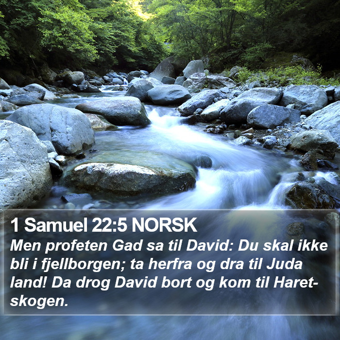 1 Samuel 22:5 NORSK Bible Study