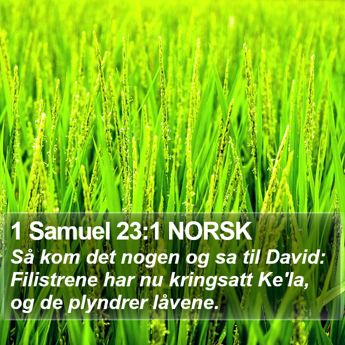 1 Samuel 23:1 NORSK Bible Study