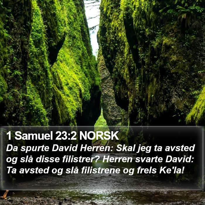 1 Samuel 23:2 NORSK Bible Study