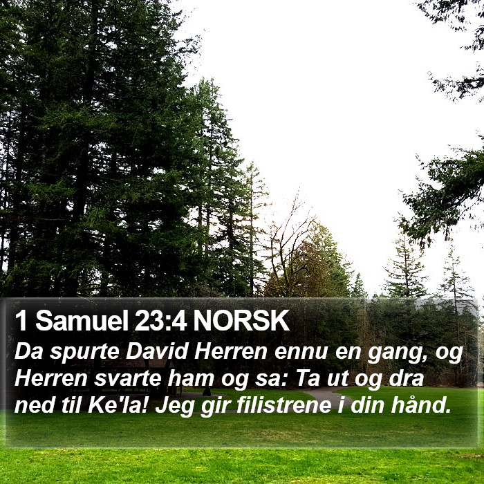 1 Samuel 23:4 NORSK Bible Study