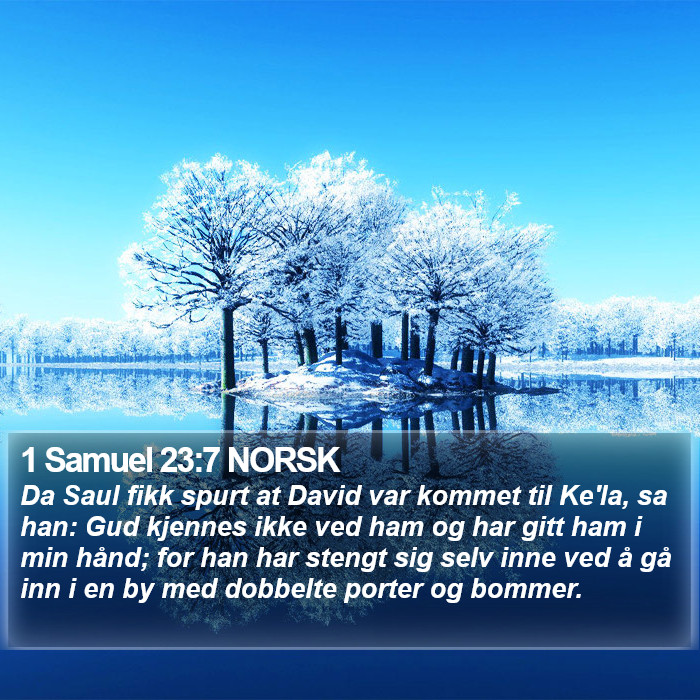 1 Samuel 23:7 NORSK Bible Study