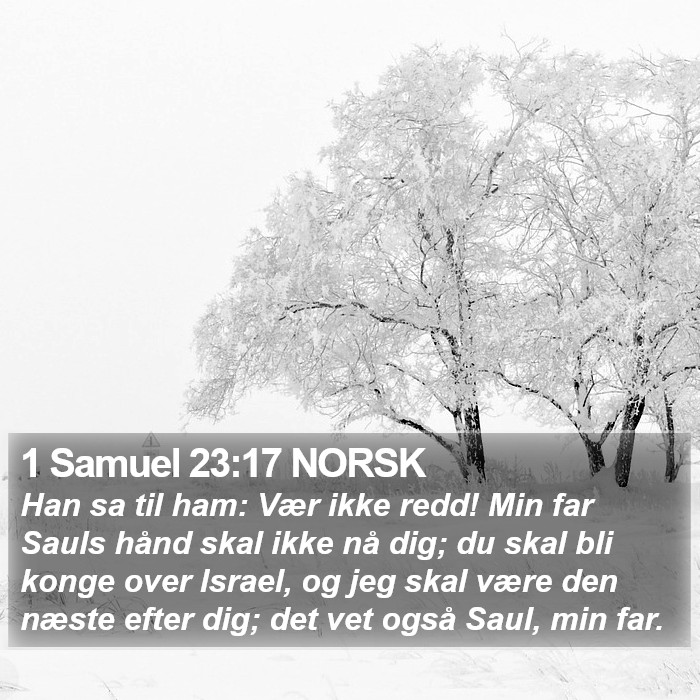 1 Samuel 23:17 NORSK Bible Study