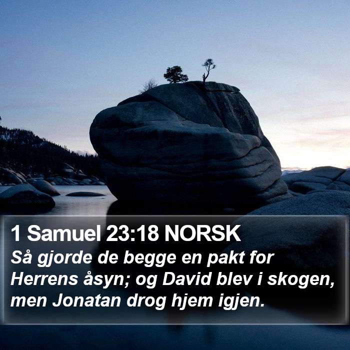 1 Samuel 23:18 NORSK Bible Study