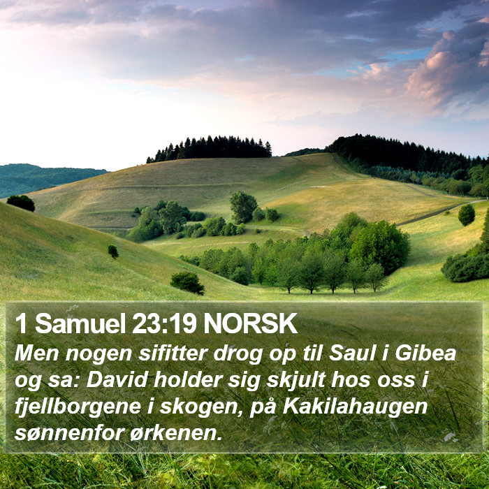 1 Samuel 23:19 NORSK Bible Study