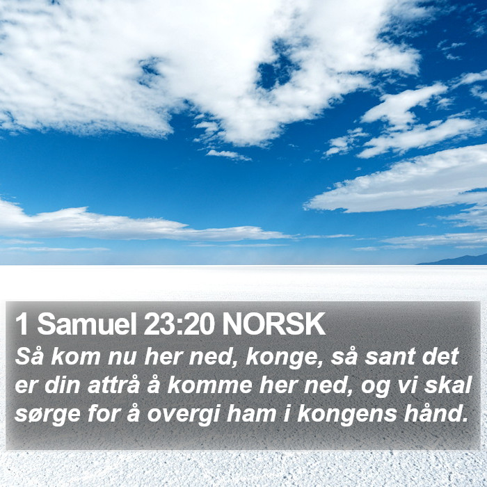 1 Samuel 23:20 NORSK Bible Study