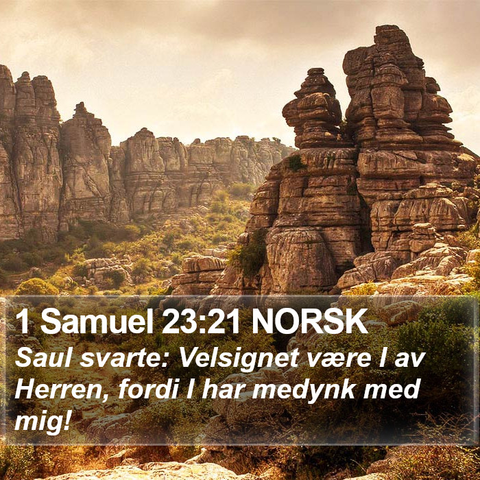 1 Samuel 23:21 NORSK Bible Study