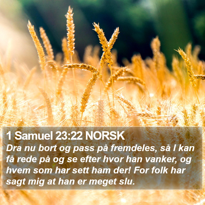 1 Samuel 23:22 NORSK Bible Study