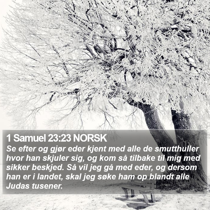 1 Samuel 23:23 NORSK Bible Study