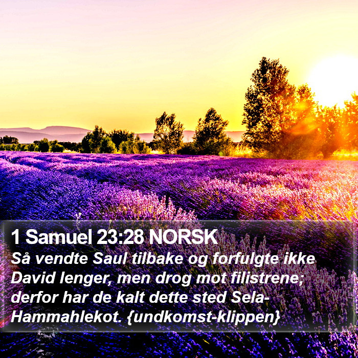 1 Samuel 23:28 NORSK Bible Study