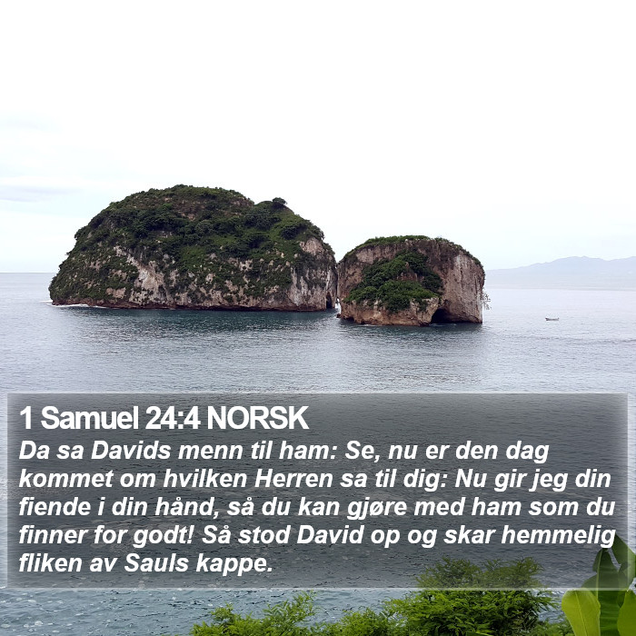 1 Samuel 24:4 NORSK Bible Study