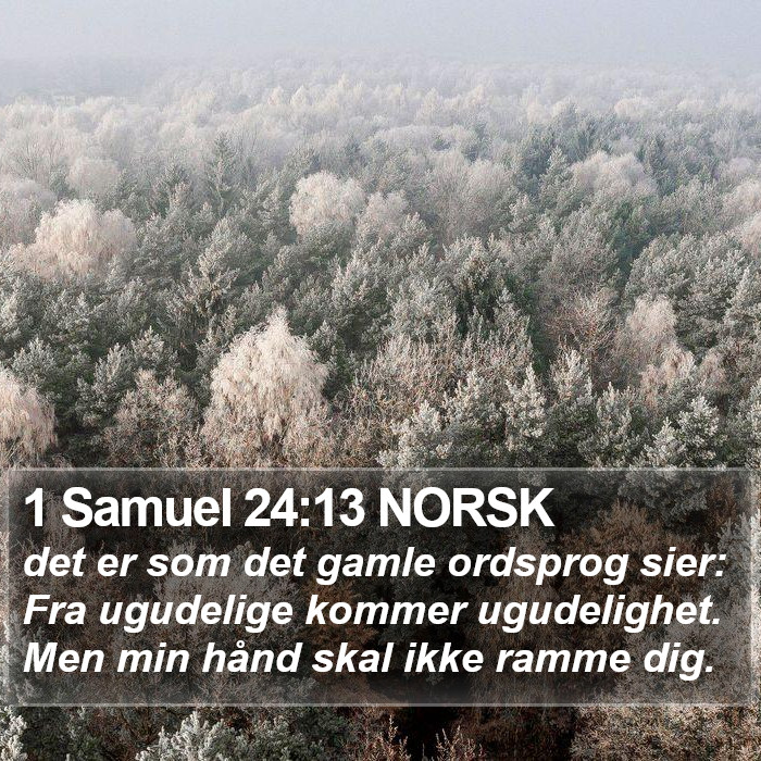 1 Samuel 24:13 NORSK Bible Study