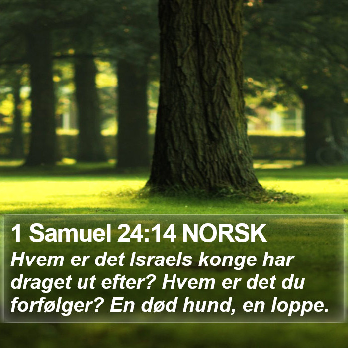 1 Samuel 24:14 NORSK Bible Study