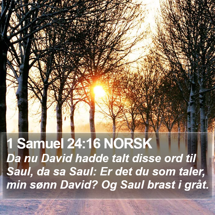 1 Samuel 24:16 NORSK Bible Study