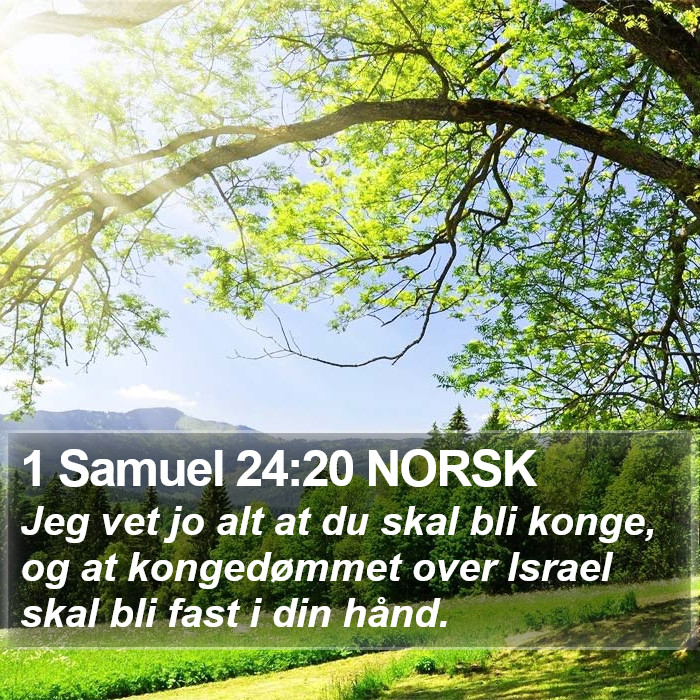 1 Samuel 24:20 NORSK Bible Study