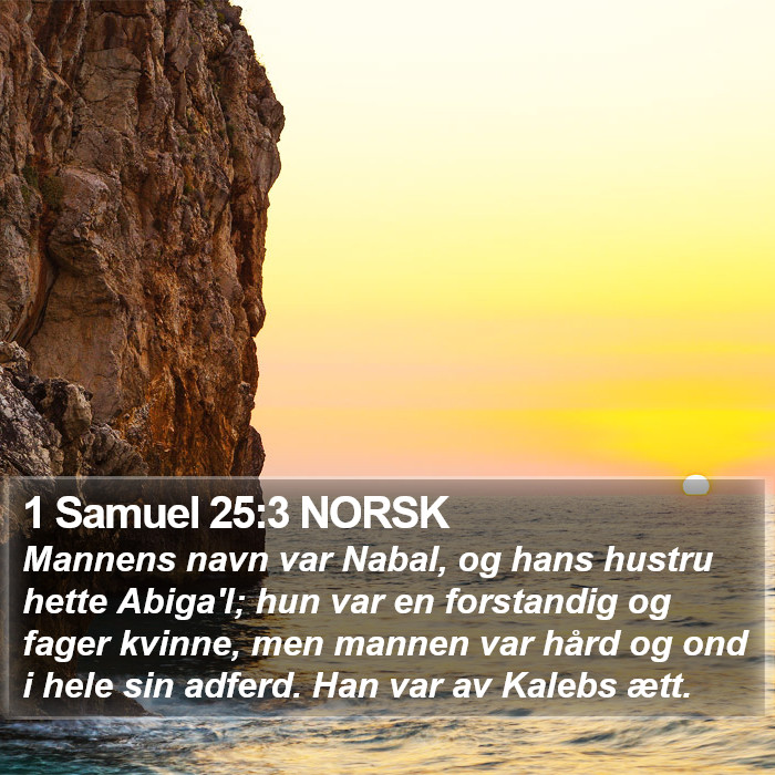 1 Samuel 25:3 NORSK Bible Study