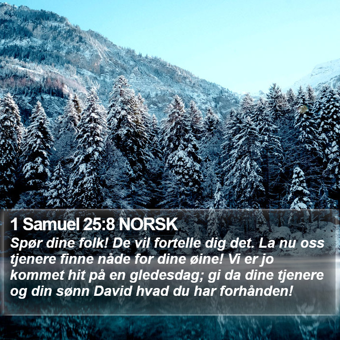 1 Samuel 25:8 NORSK Bible Study