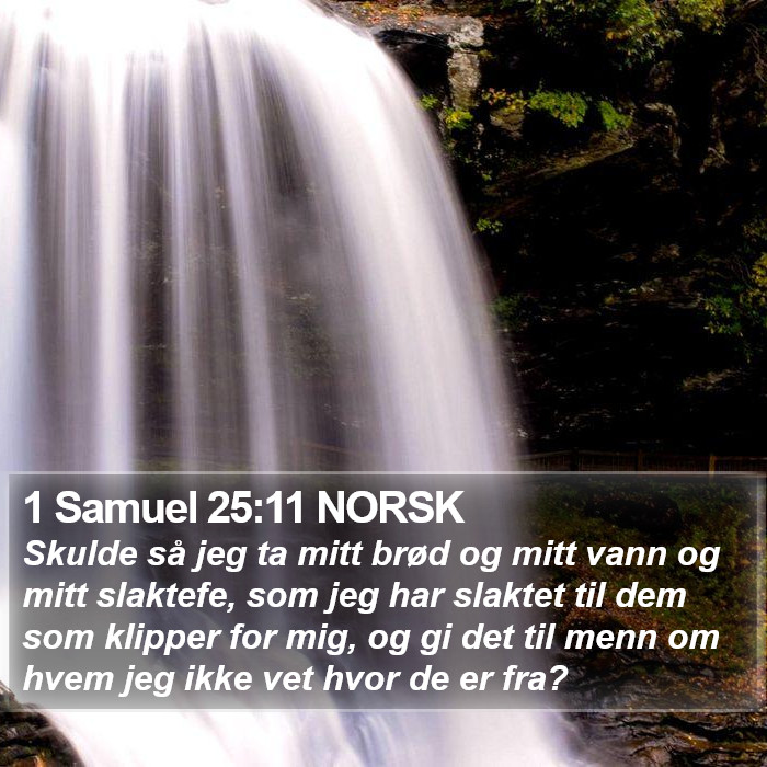 1 Samuel 25:11 NORSK Bible Study