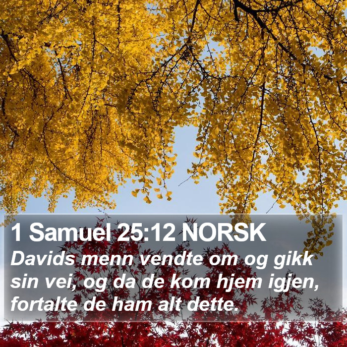 1 Samuel 25:12 NORSK Bible Study