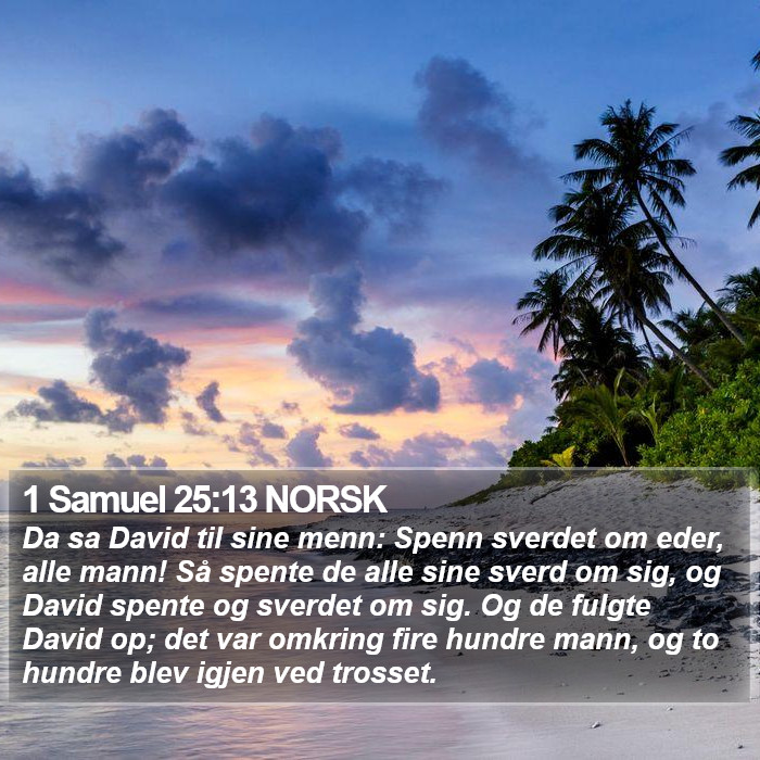 1 Samuel 25:13 NORSK Bible Study