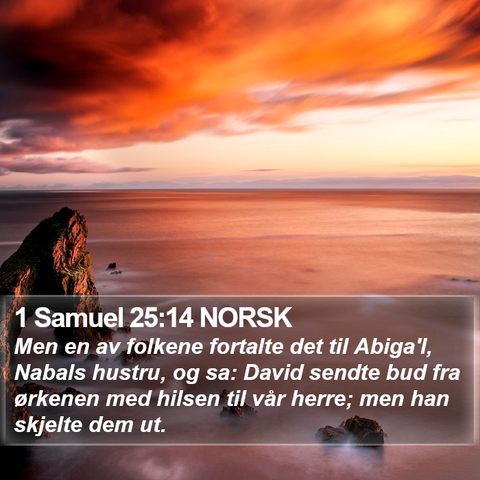 1 Samuel 25:14 NORSK Bible Study