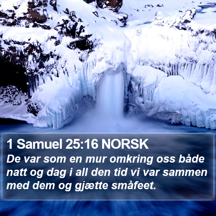 1 Samuel 25:16 NORSK Bible Study